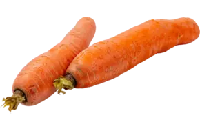 Winterpeen regeneratief